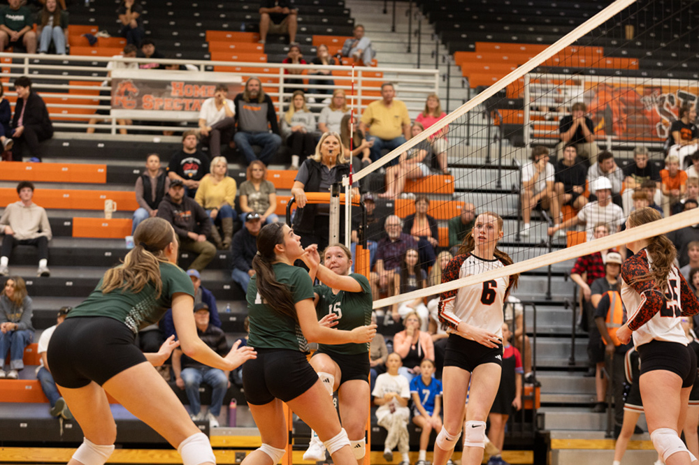 %_tempFileName1M6A8086%