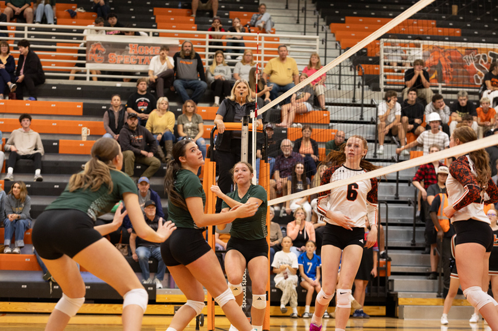 %_tempFileName1M6A8087%