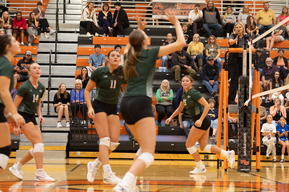 %_tempFileName1M6A8091%