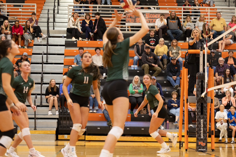 %_tempFileName1M6A8092%