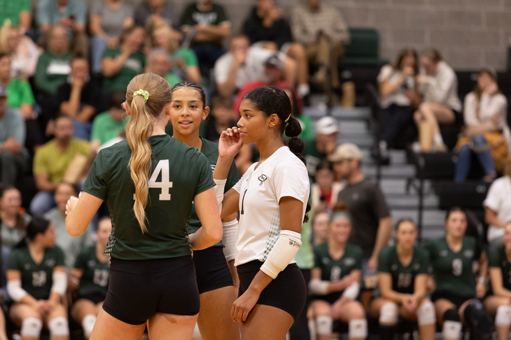 %_tempFileName1M6A8108%