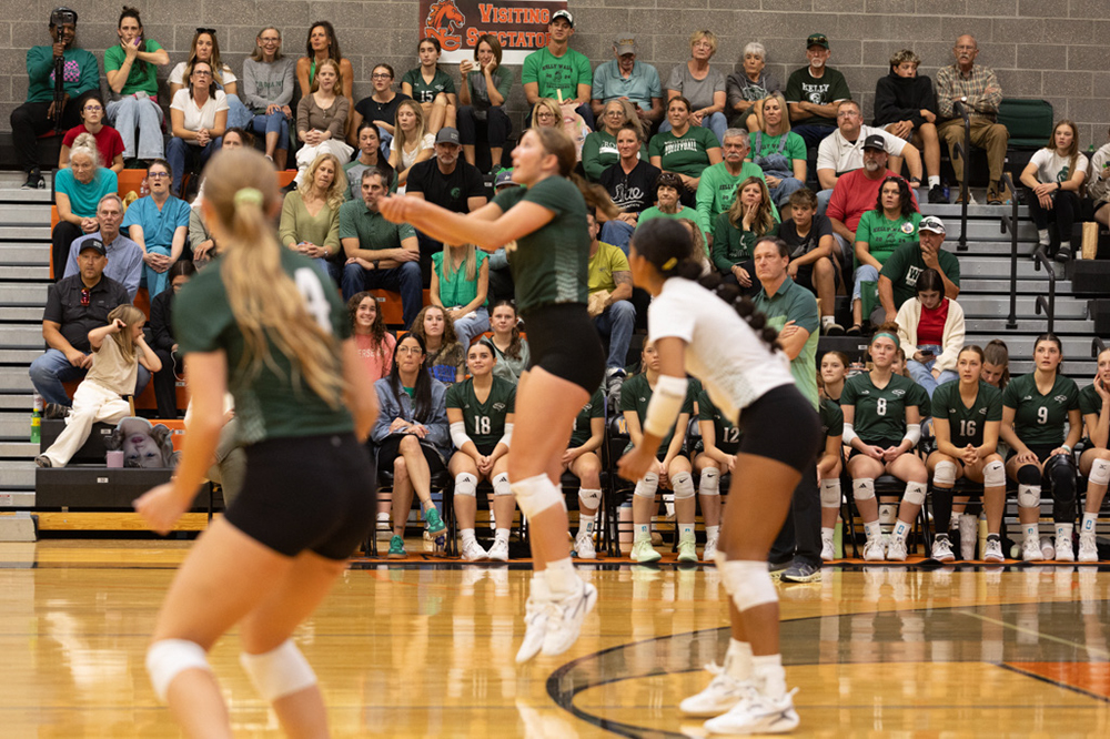 %_tempFileName1M6A8131%