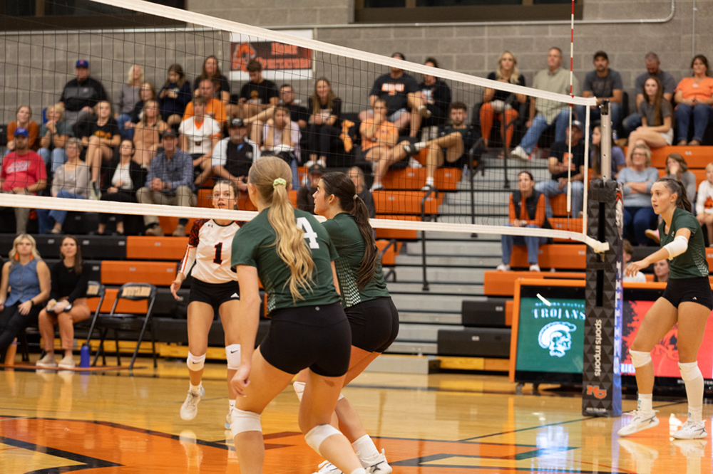 %_tempFileName1M6A8133%