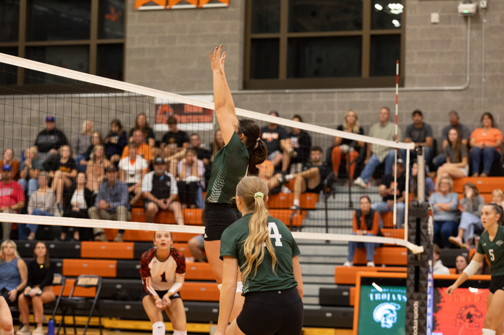 %_tempFileName1M6A8137%