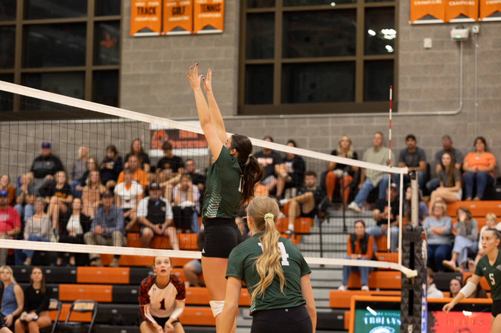 %_tempFileName1M6A8138%