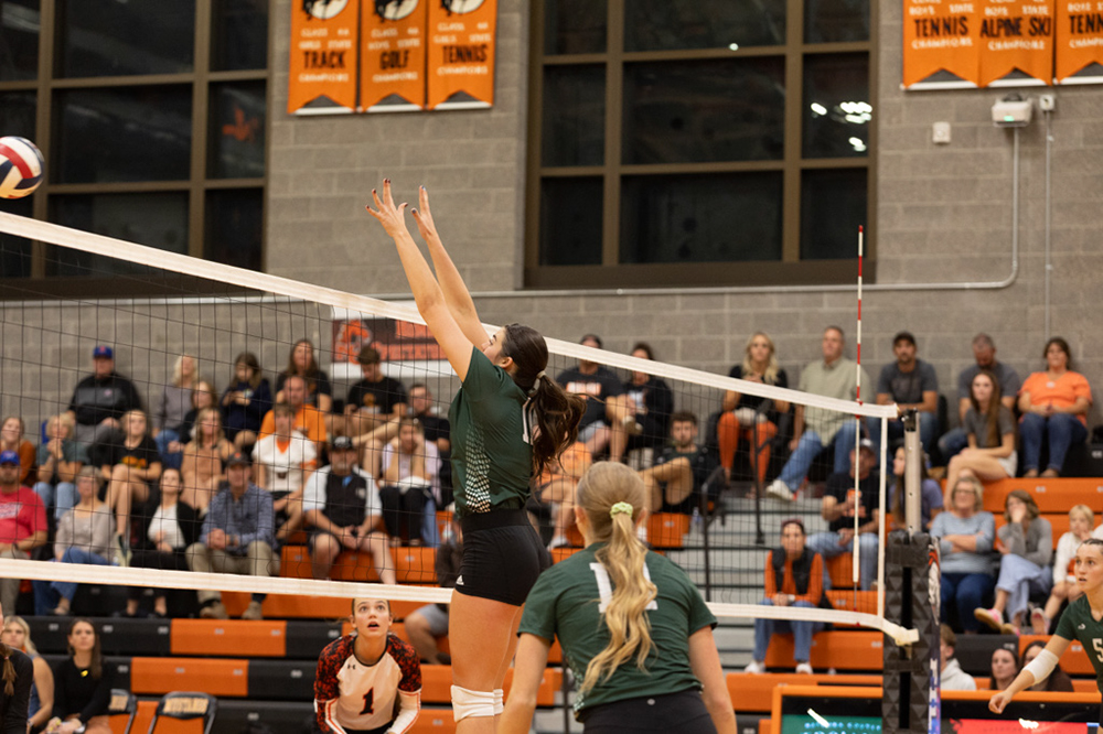 %_tempFileName1M6A8139%