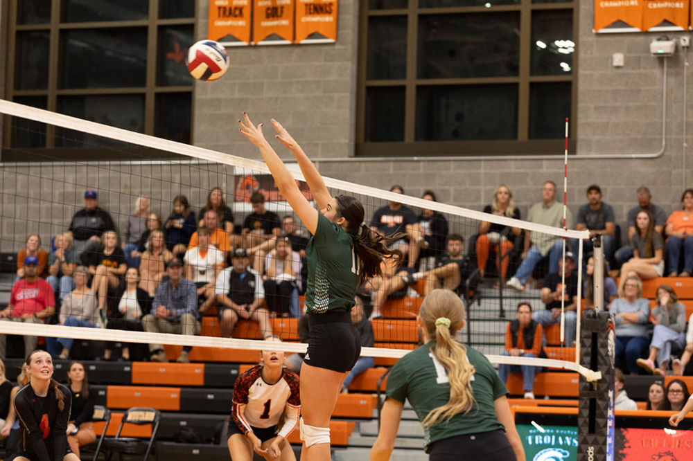 %_tempFileName1M6A8141%