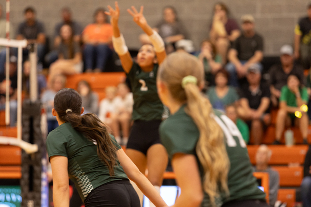 %_tempFileName1M6A8147%