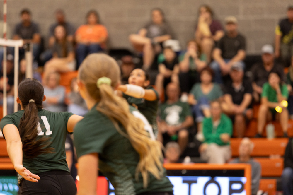 %_tempFileName1M6A8149%