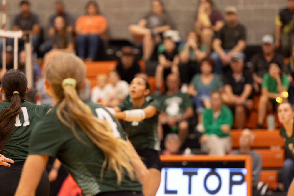 %_tempFileName1M6A8150%