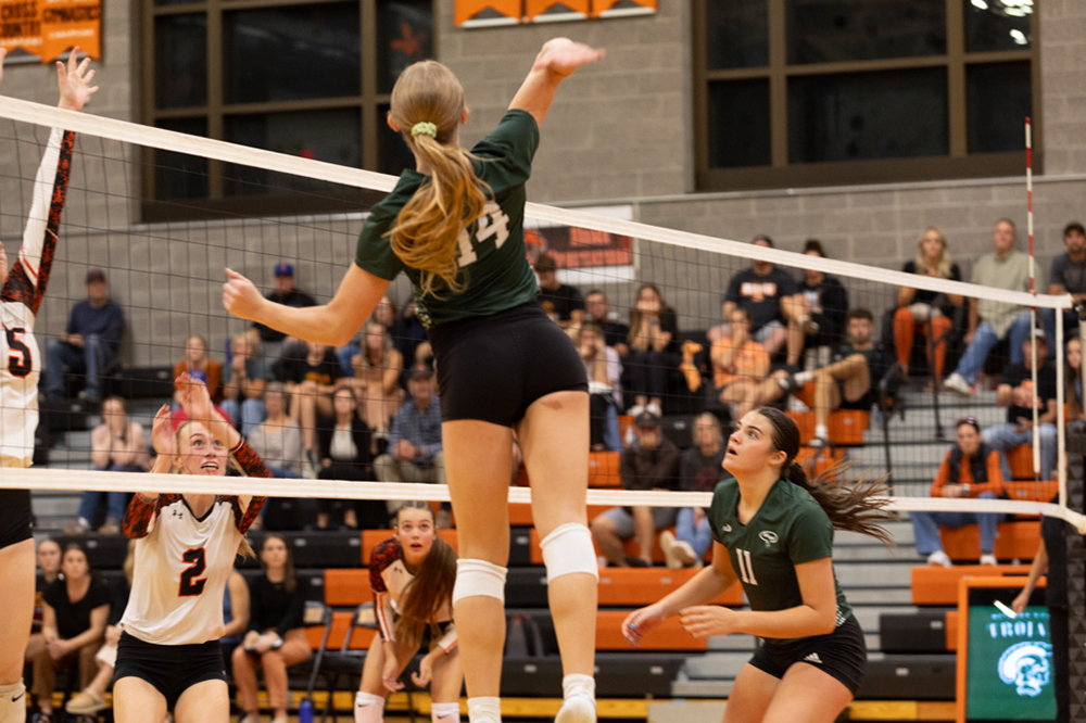 %_tempFileName1M6A8151%