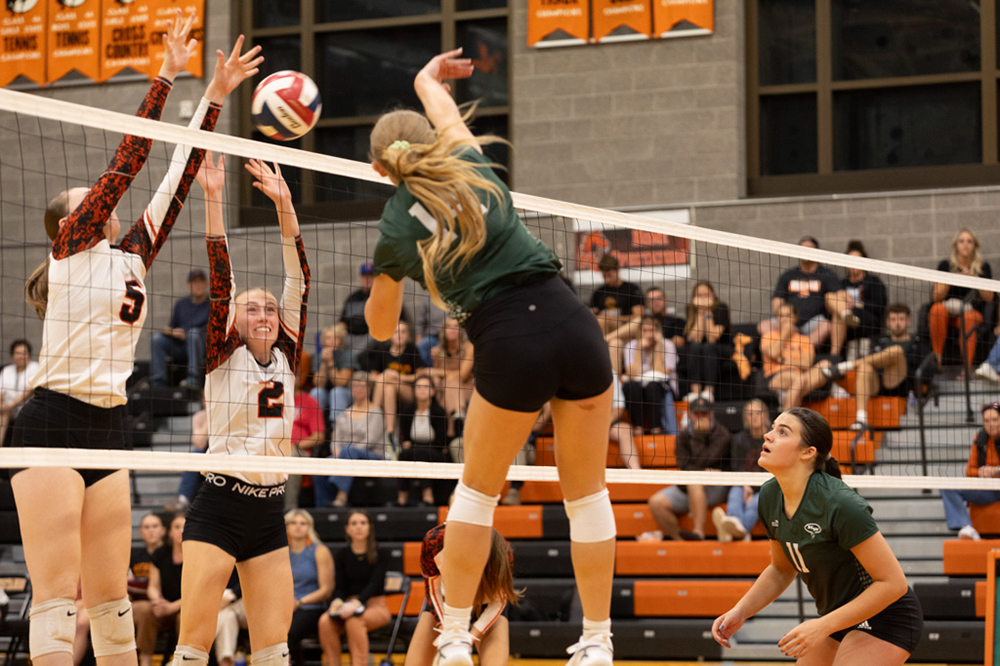 %_tempFileName1M6A8153%