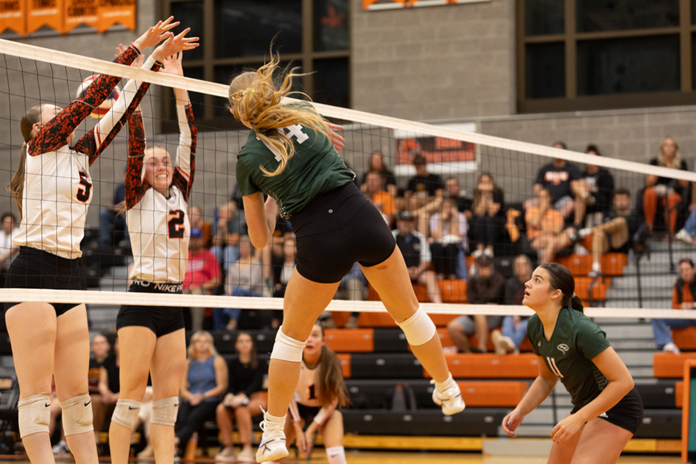 %_tempFileName1M6A8154%