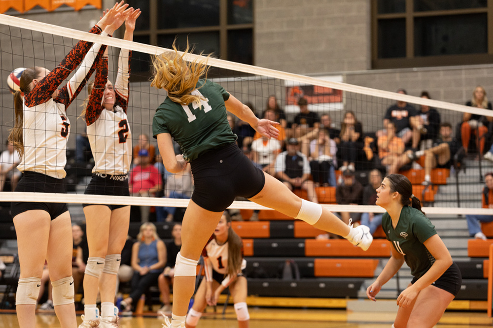 %_tempFileName1M6A8155%