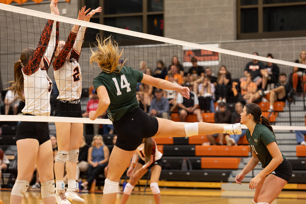 %_tempFileName1M6A8156%