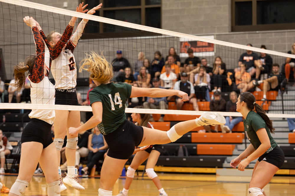 %_tempFileName1M6A8157%