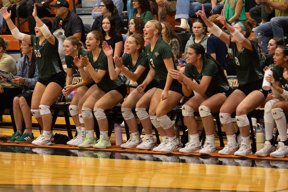 %_tempFileName1M6A8202%