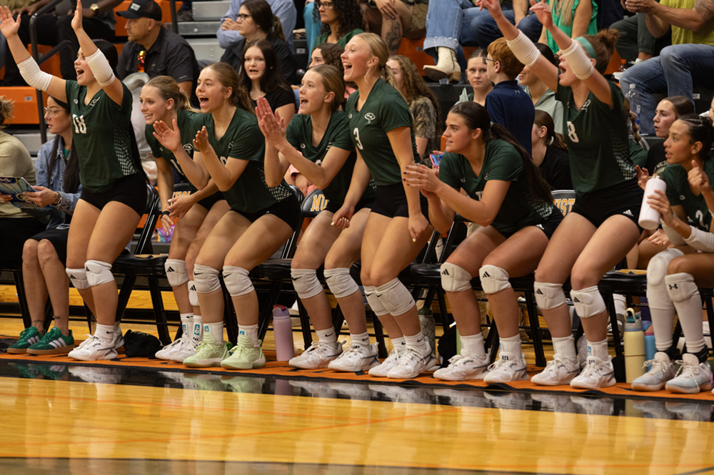 %_tempFileName1M6A8203%