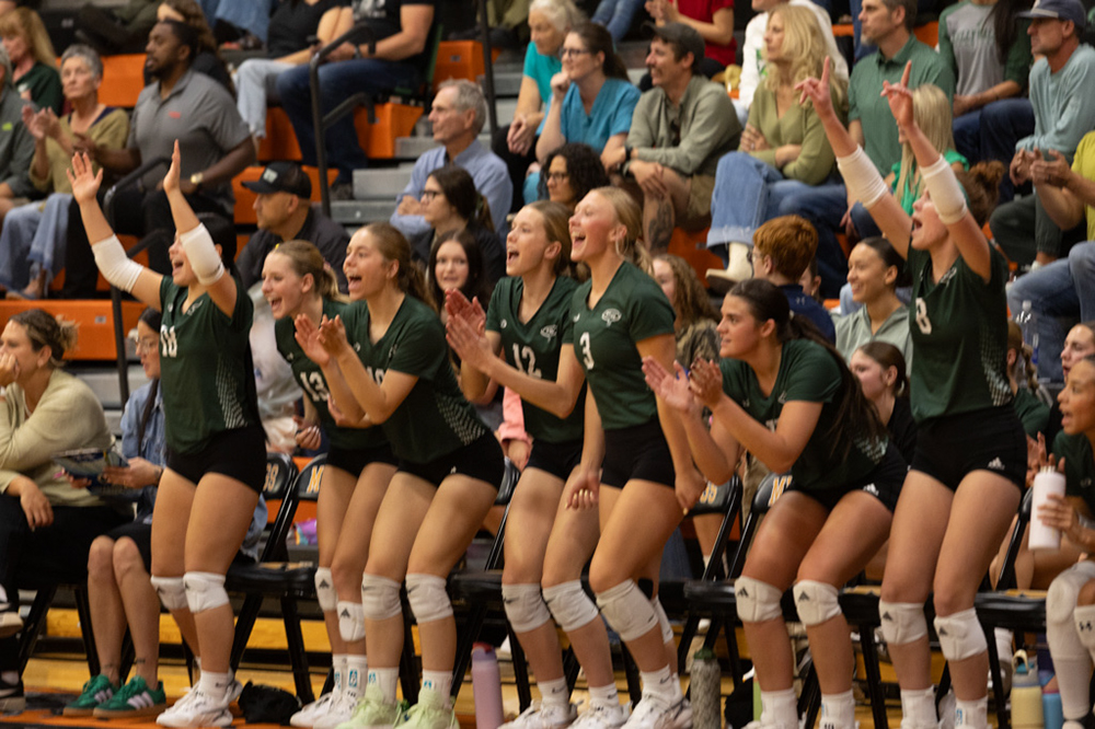 %_tempFileName1M6A8205%