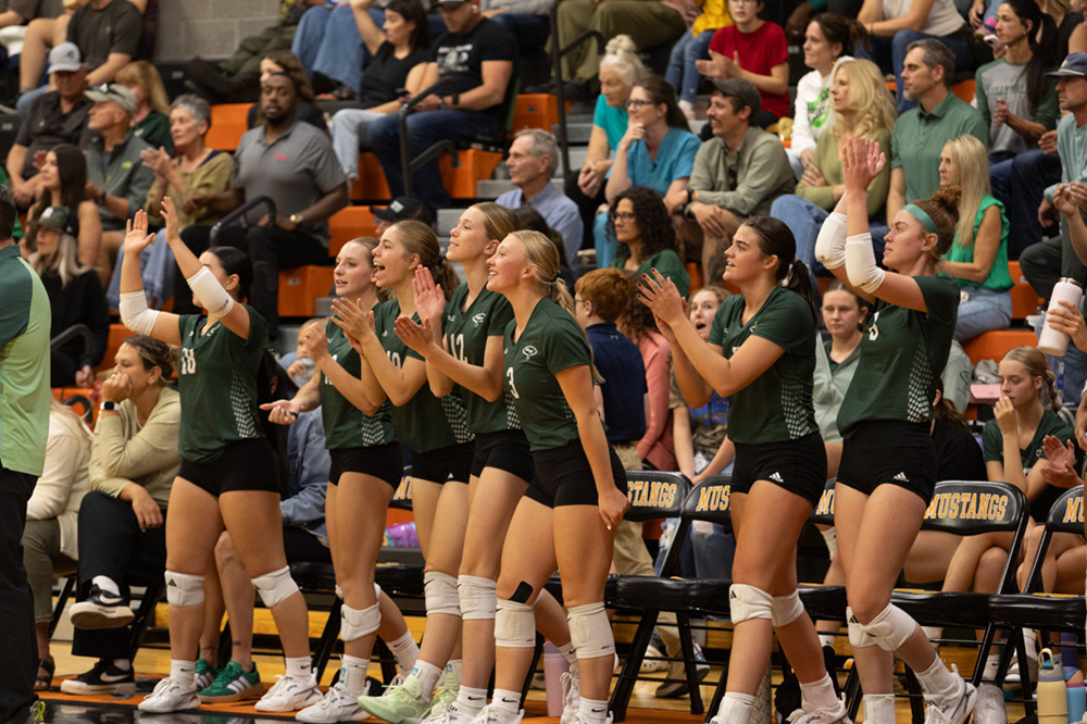 %_tempFileName1M6A8216%