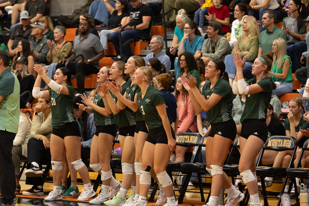 %_tempFileName1M6A8218%