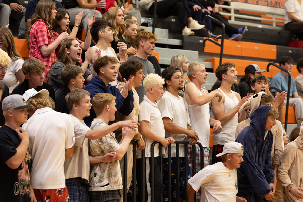 %_tempFileName1M6A8243%