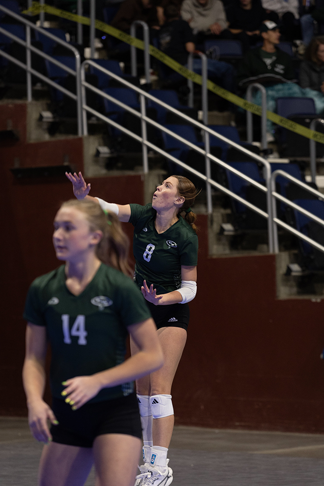 %_tempFileName1M6A6463%