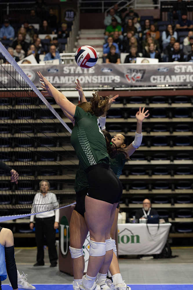 %_tempFileName1M6A6472%