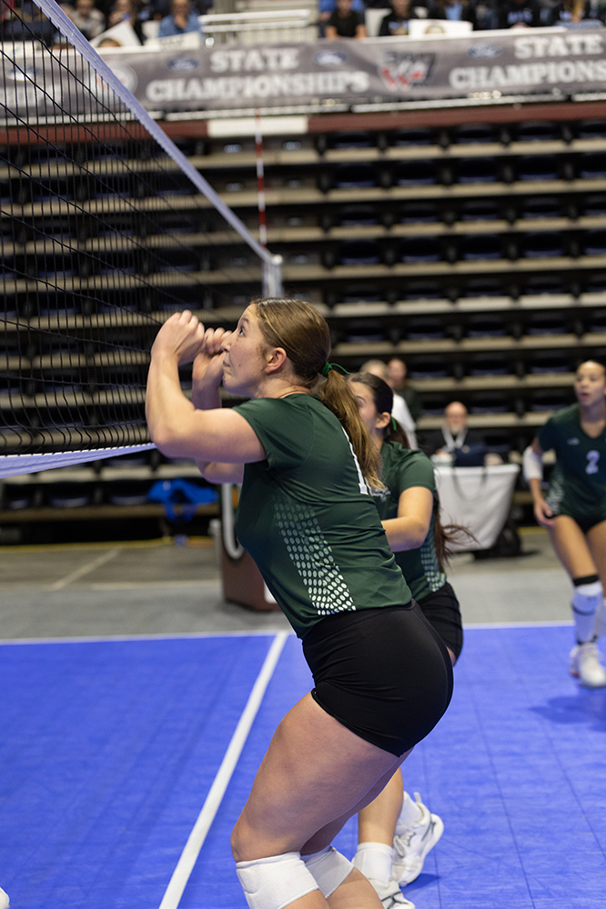 %_tempFileName1M6A6478%