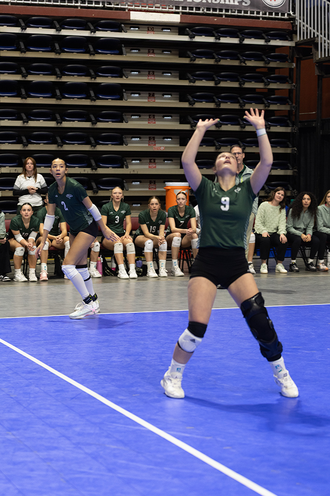 %_tempFileName1M6A6487%