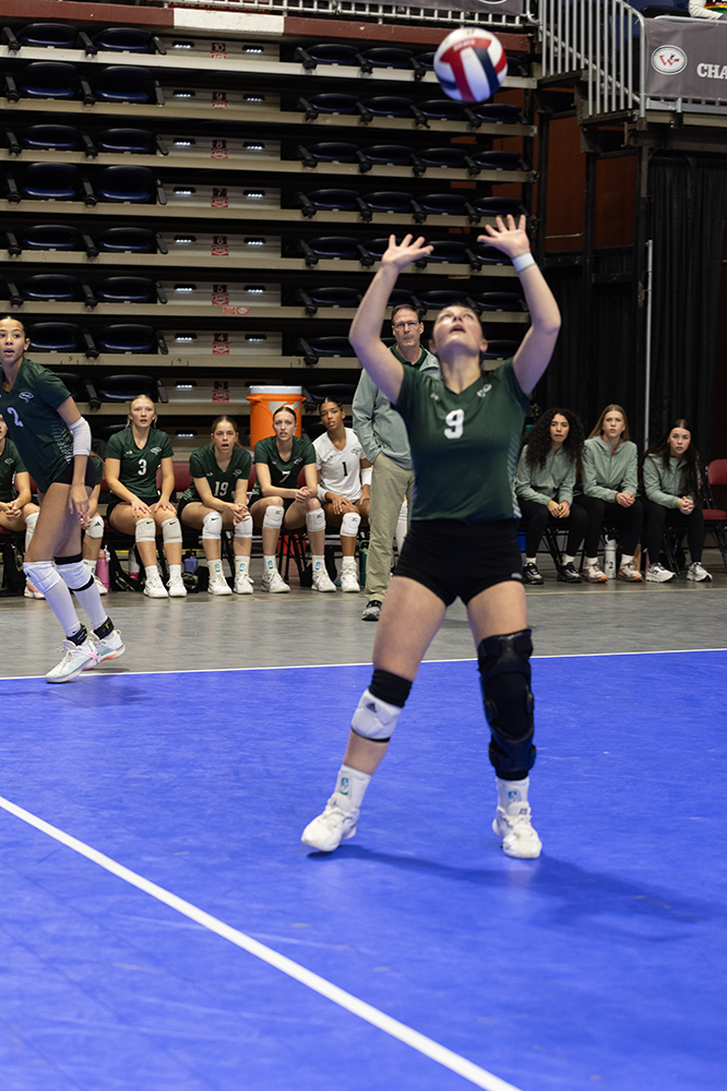 %_tempFileName1M6A6489%