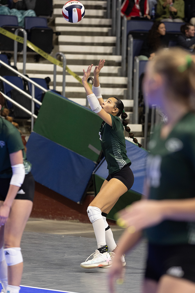 %_tempFileName1M6A6506%