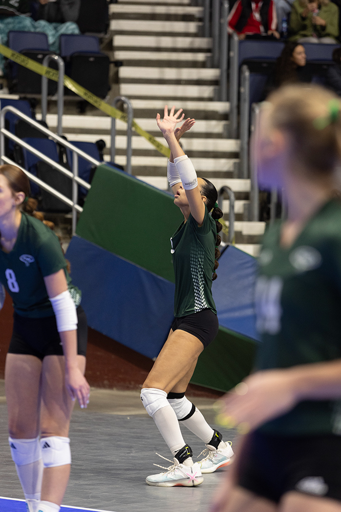 %_tempFileName1M6A6508%