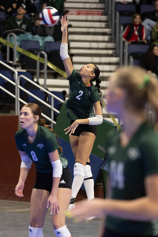 %_tempFileName1M6A6513%