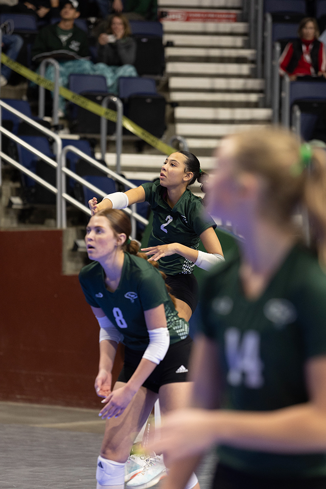 %_tempFileName1M6A6516%