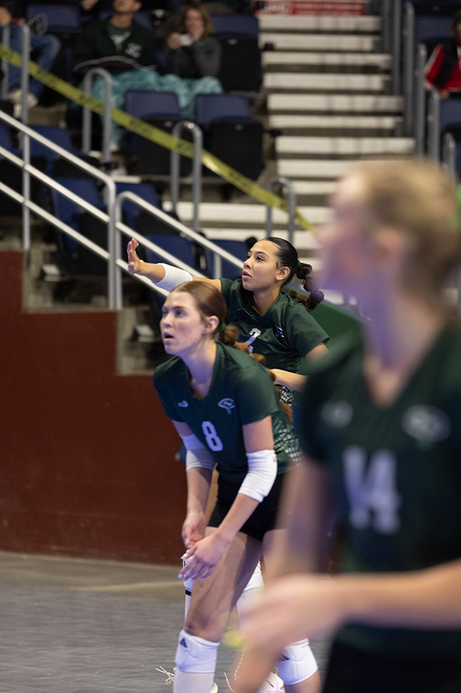 %_tempFileName1M6A6517%