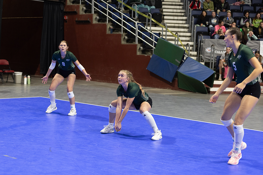 %_tempFileName1M6A6527%