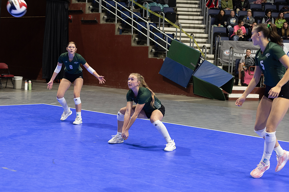 %_tempFileName1M6A6528%