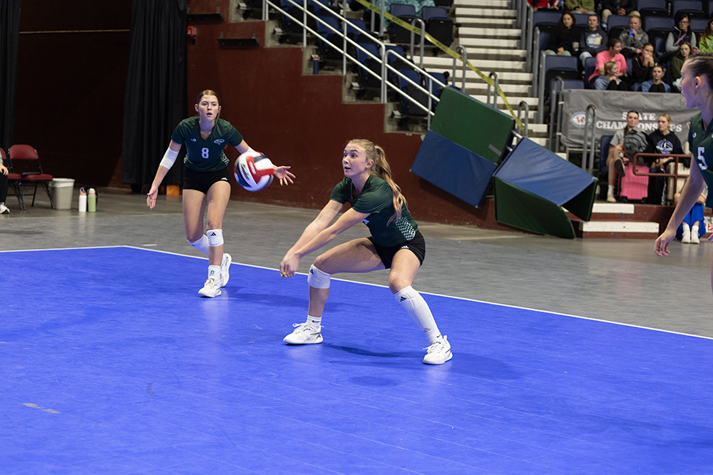 %_tempFileName1M6A6530%