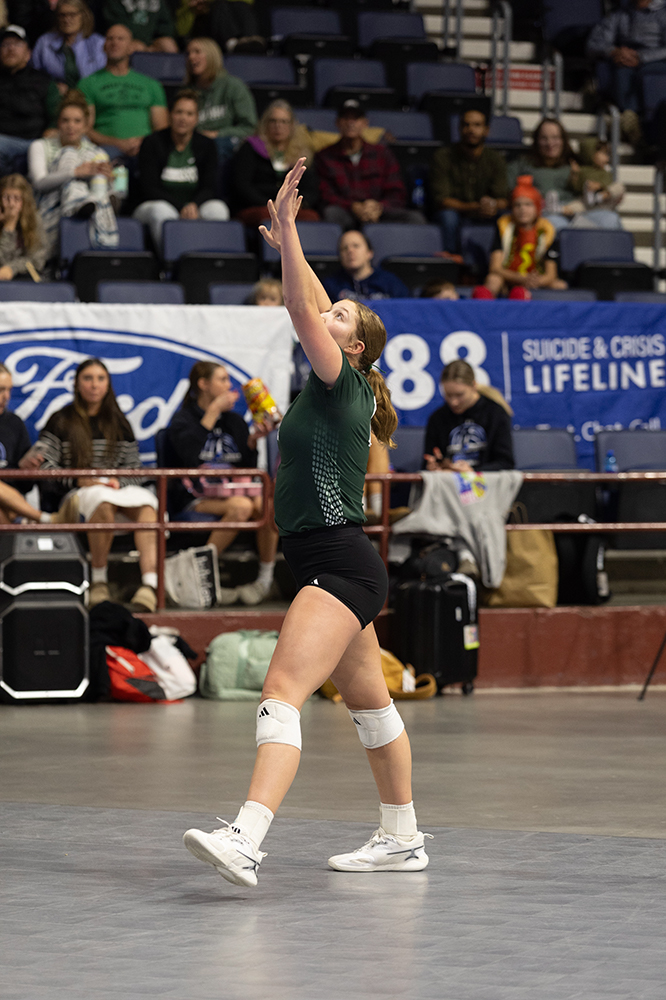 %_tempFileName1M6A6579%