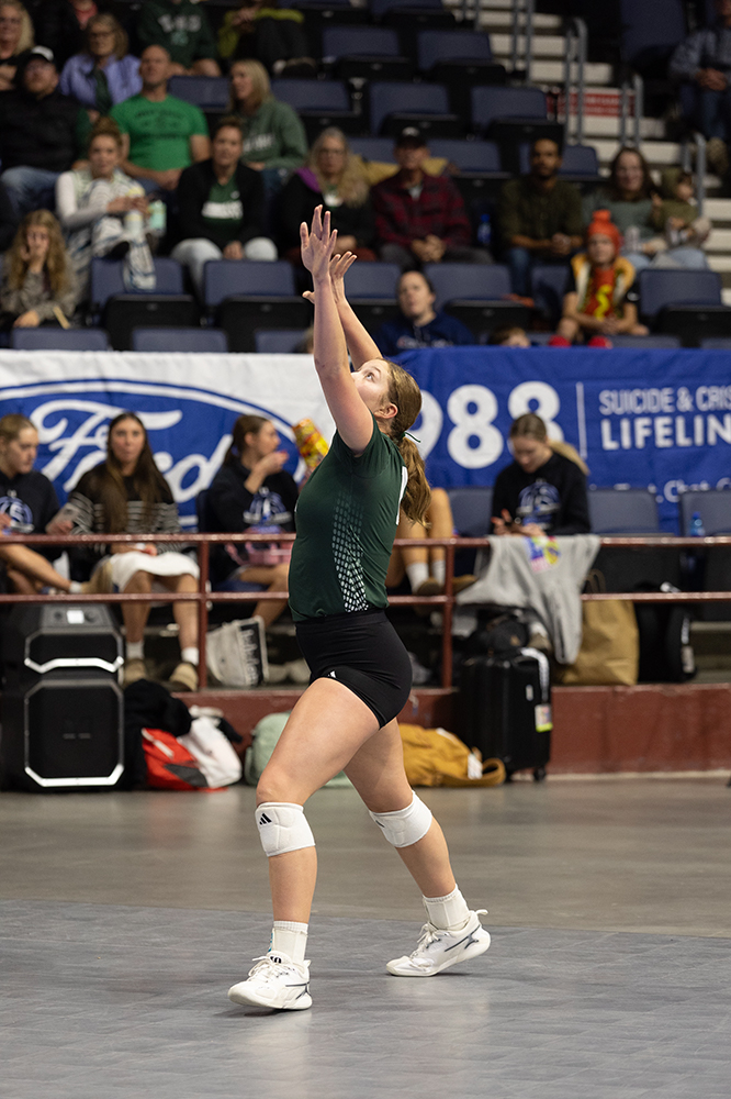 %_tempFileName1M6A6581%