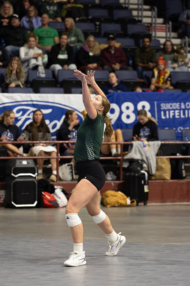 %_tempFileName1M6A6582%