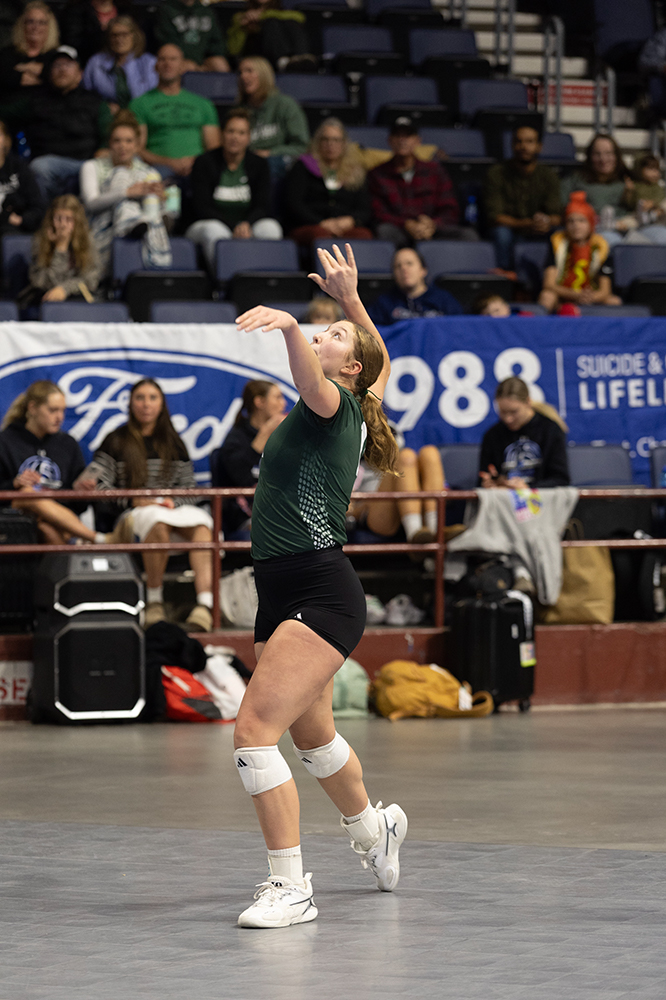 %_tempFileName1M6A6583%