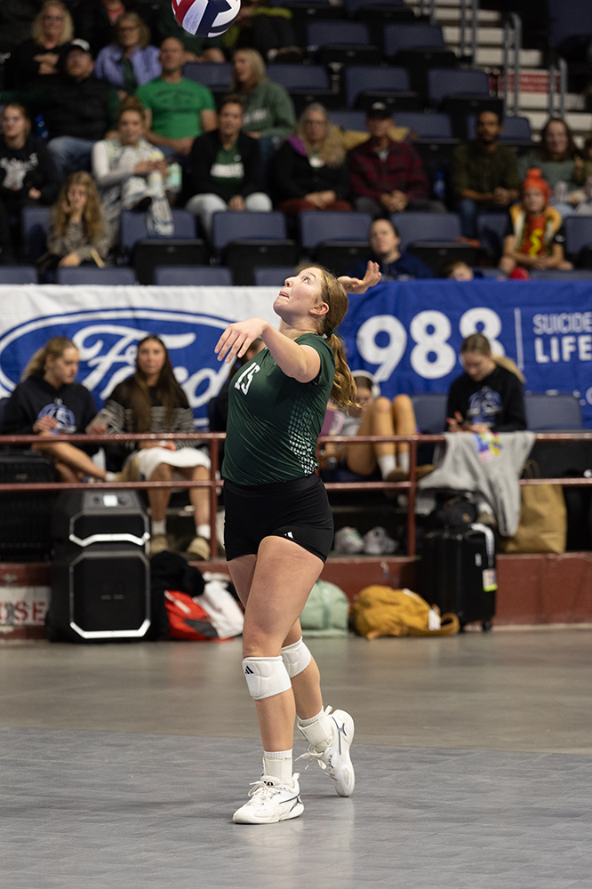 %_tempFileName1M6A6584%