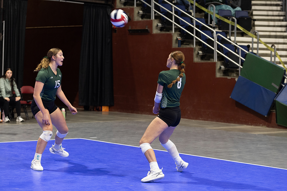 %_tempFileName1M6A6590%