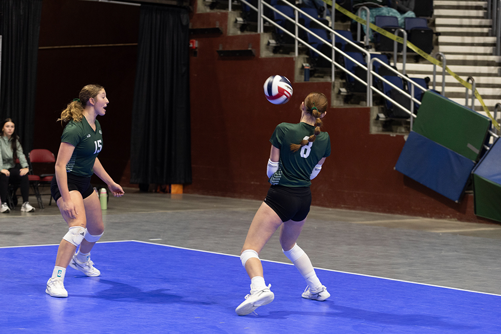 %_tempFileName1M6A6591%