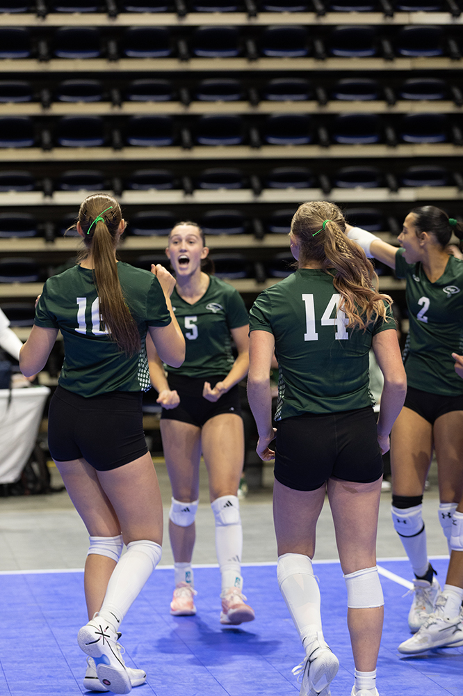 %_tempFileName1M6A6619%