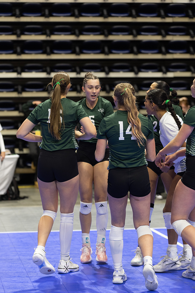 %_tempFileName1M6A6626%