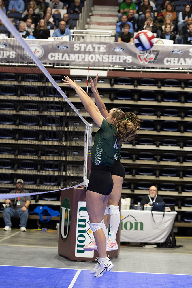 %_tempFileName1M6A6637%