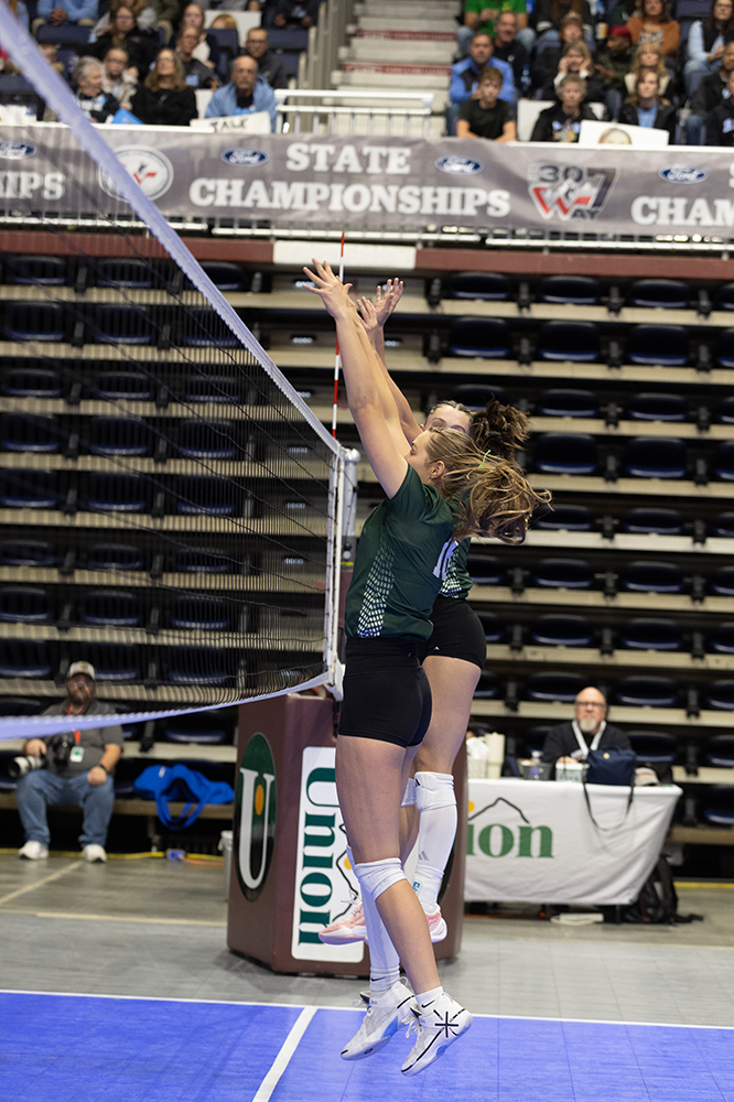 %_tempFileName1M6A6638%